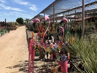 Desert Horizon Nursery