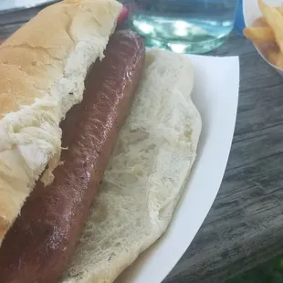 Hot dog with side of fries