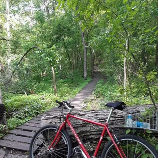 They have mountain bike trails here, who knew! You can hike as well... single trail, so bikers counter clockwise and hikers clockwise!