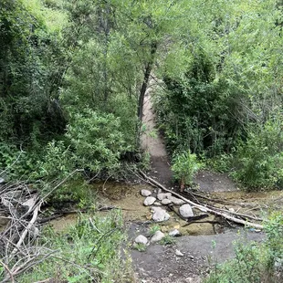 One of the streams.