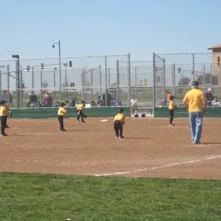Whitney Community Park, sports fields