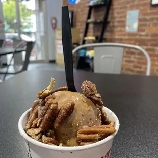 Chocolate sea turtle