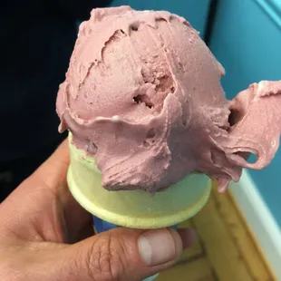 Black Raspberry chip