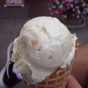 Key lime pie custard