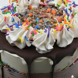 Frozen Custard Cake