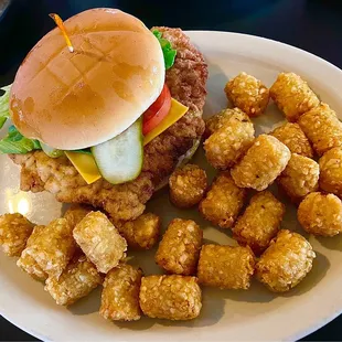 The Breaded Tenderloin Meal. (Tater-Tots for the side)