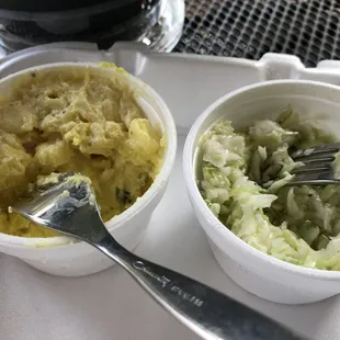 Potato Salad and Slaw (apologies for "intruding" forks)