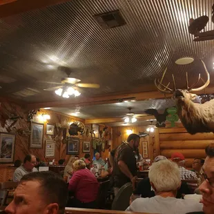 Decor that is a lot of animal heads