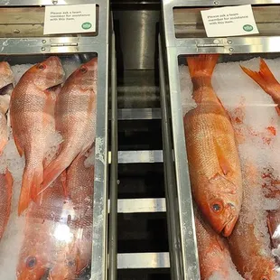 Seafood &amp; Butcher Department AWESOME!