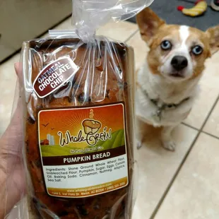 Pumpkin chocolate chip bread