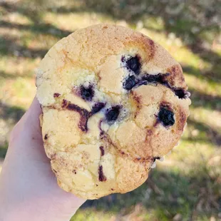 Blueberry muffin