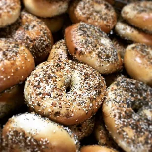Everything bagels! Wholy Bagel - best bagels in Austin. One of the best bagel shops in America. Scratch made New York style bagels.