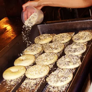 We seed both sides...doesn&apos;t everyone?  Wholy Bagel - best bagels in Austin. One of the best bagel shops in America.
