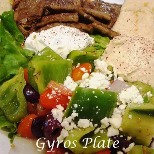 Gyro Plate
