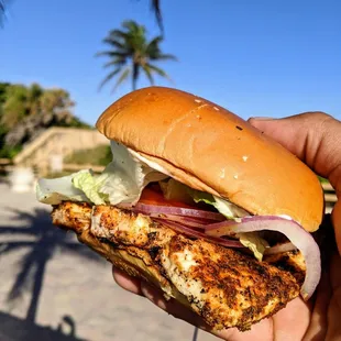 Blackened mahi sandwich