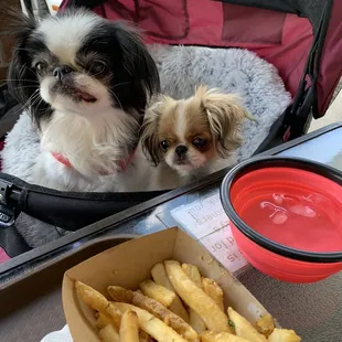 Eating with our dogs outside!