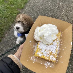 Lemon bar (and Riley)