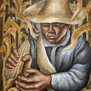 Jesus Ortiz Tajonar; Man Shucking Corn; about 1930; oil on canvas