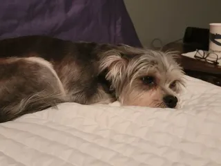 Hillside Family Dentist