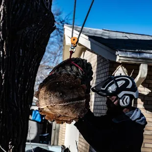 Logs lowered down with a double rope rigging system to avoid damage to house.