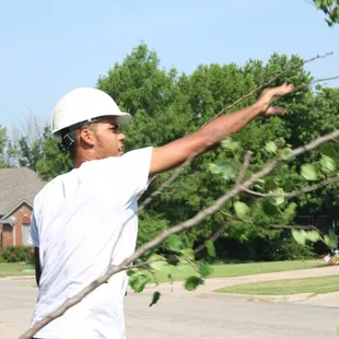 Wichita Tree service
Tree Trimming in wichita ks