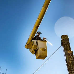 ISA Certified Arborist and company owner Robert Phillips