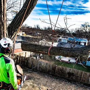 Champion Climbing Arborist Bryan Brock.