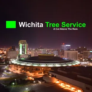 Photo from the top of the Hyatt by Robert Phillips Wichita Tree Service owner