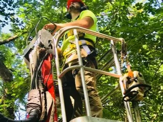 Huff's Tree Service