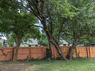 Complete Tree Care & Landscaping