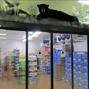 bear @ the bear beer cave at wichita wholesale liquor in wichita, ks. www.wichitaliquor.com