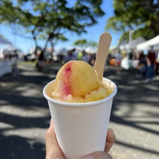 a hand holding a cup of ice cream