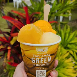 a person holding a cup of green ice cream