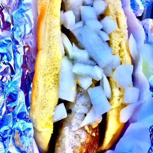 a hot dog with onions on a bun