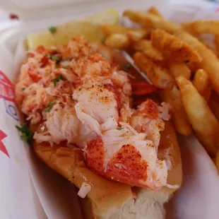 Maine Lobster Roll