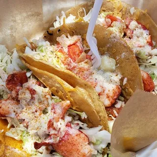 Maine Lobster Tacos (3x)