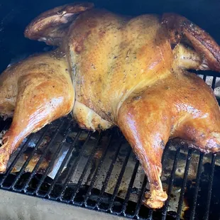 Happy Thanksgiving!!