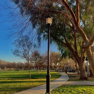 Picture taken on Iphone 12 pro max