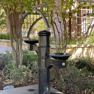 Water fountains