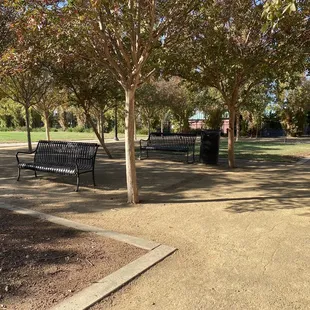 Benches in the shade