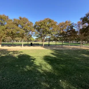 Big open grass areas