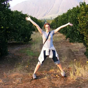 Wicky Up Ranch - Organic Orange Groves