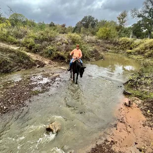 Creek crossing on the trails. Fun experience