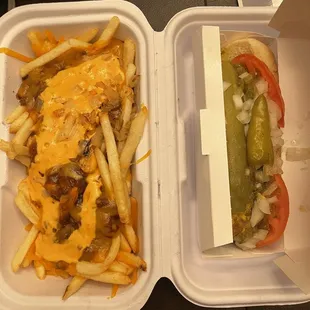 Thousand island fries and Chicago style dog