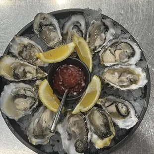Oysters