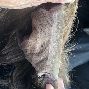 The exposed netting.