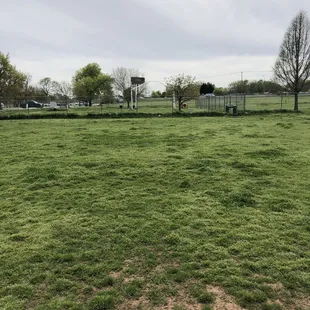 Dog park large side