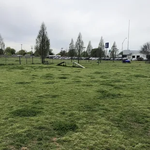 Dog park large side