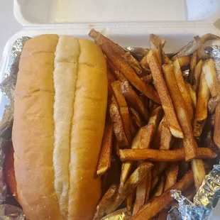 Italian Sub with Fries