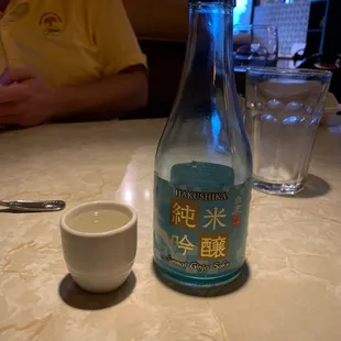 Cold Saki